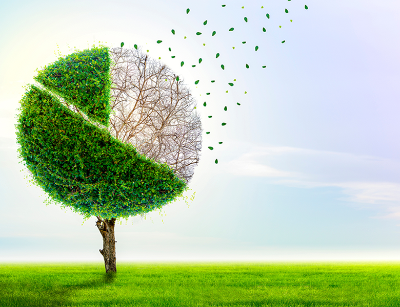 Des statistiques pour accompagner la transition climatique